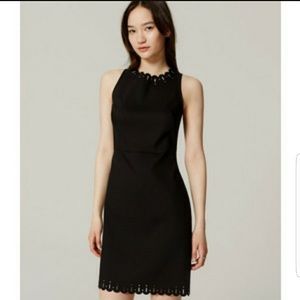 NEW Loft Black Sleeveless Lasercut Dress